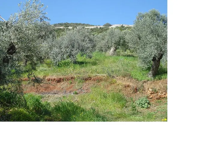 Athina Ecofarm Epidaurus