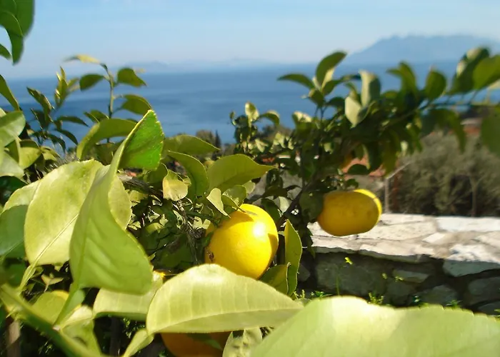 Athina Ecofarm * Epidaurus