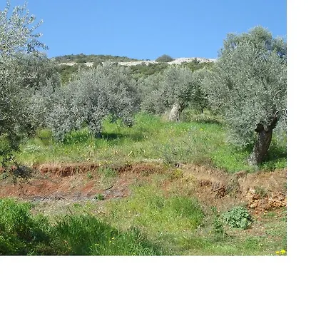 Athina Ecofarm Epidaurosz