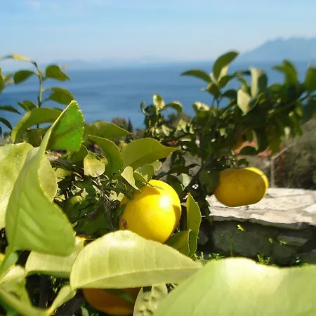 Athina Ecofarm * Epidaurus